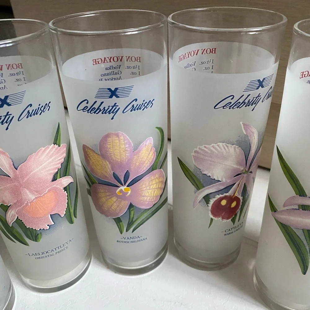 Set of 7 Vintage Celebrity Cruises Orchid Frosted Cocktail Glasses